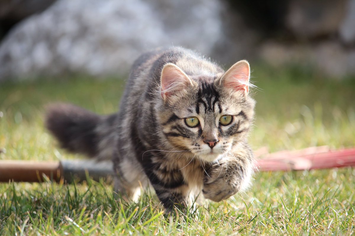 L’intensité d’un regard en dit souvent bien plus que toutes les phrases du monde . 
*
*
Communiquer de manière authentique se passe souvent de mots, n'est-ce pas ?  

#OnGrimpeEnsemble #OnRegardeEnsemble #SilenceÇaRegarde #CommeUnique