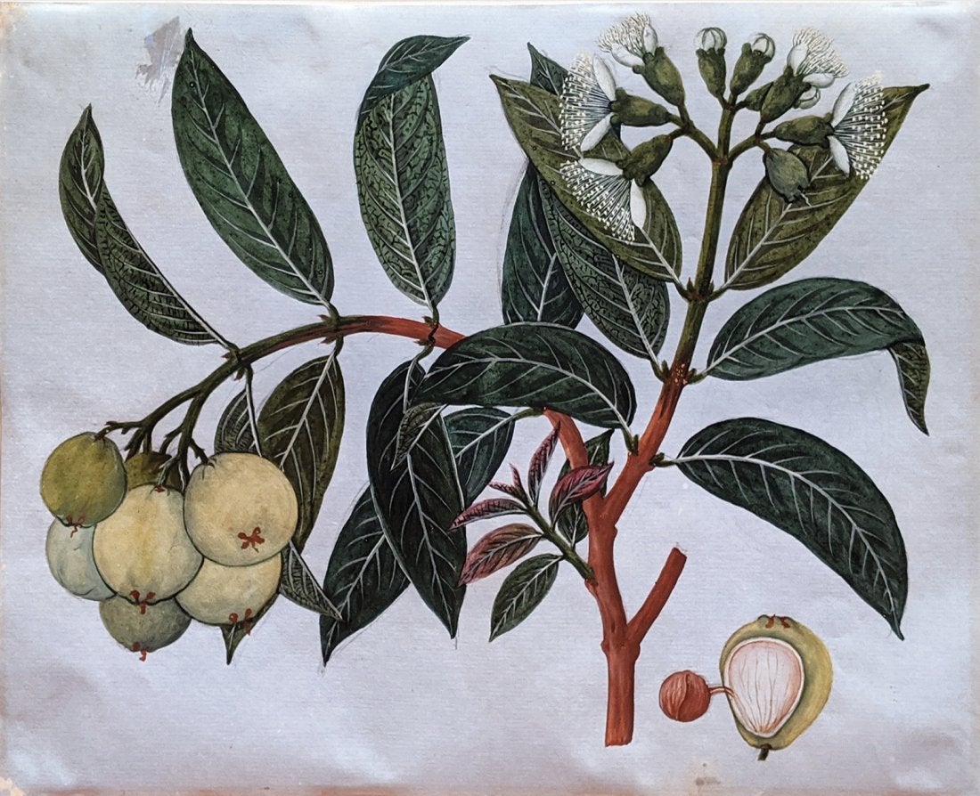 AraderGalleries tweet media