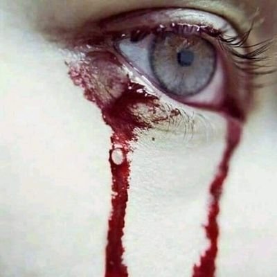 Msibrahim Khan tweet media