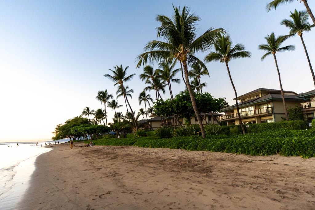ResidencesHI's tweet photo. Pristine Puunoa at sunset...it really doesn't get any more beachfront than this! 😍 ☀️

#makeourdestinationyours #puunoabeachestates #mauihawaii #travelgram https://t.co/jn3EDz1CYz