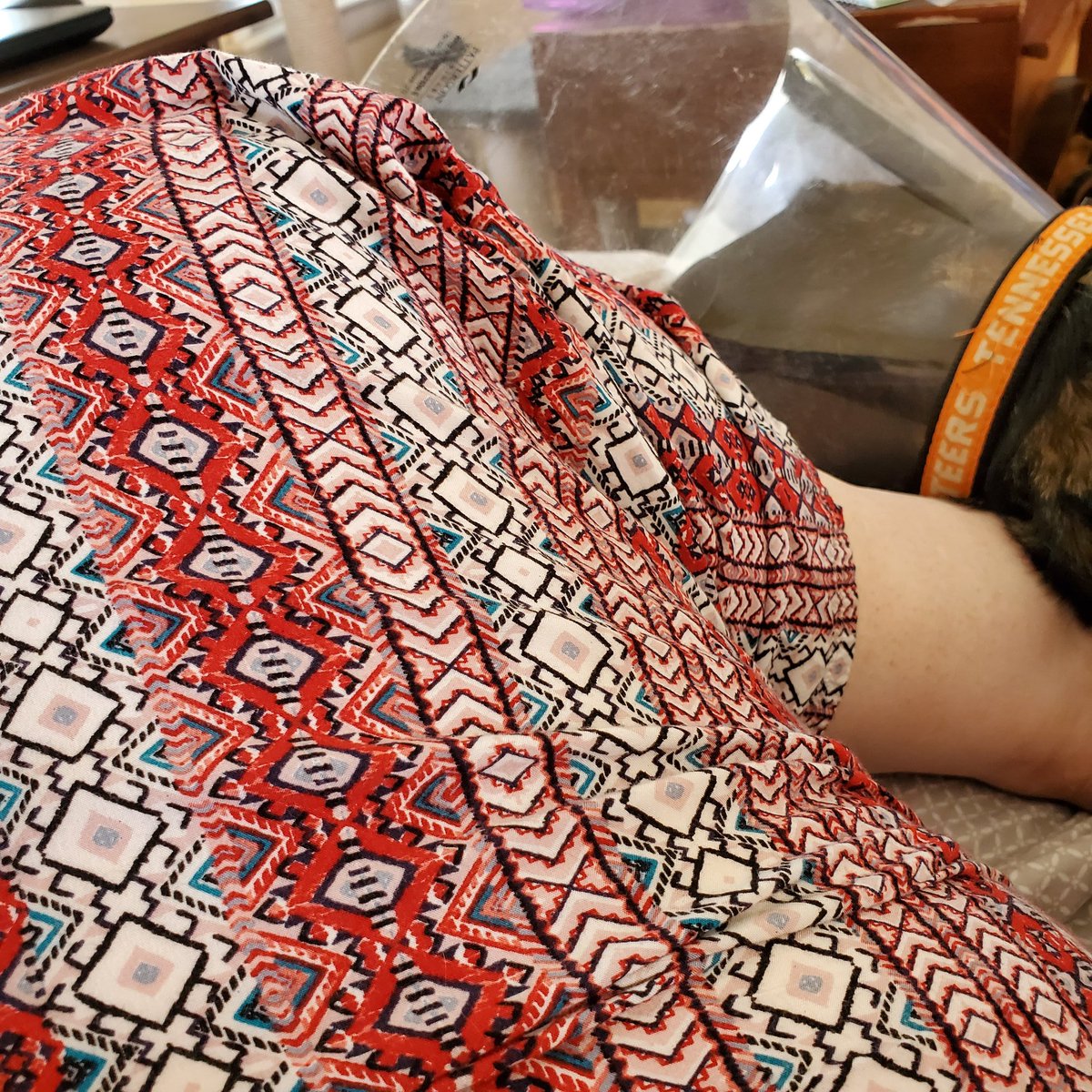 MrsFitz3rd's tweet image. Happy Take a Break Tuesday!! Bear and I are hanging out today and watching movies. What are you doing today to take a break? @ParklawnFCPS #parklawnvirtualspiritweek