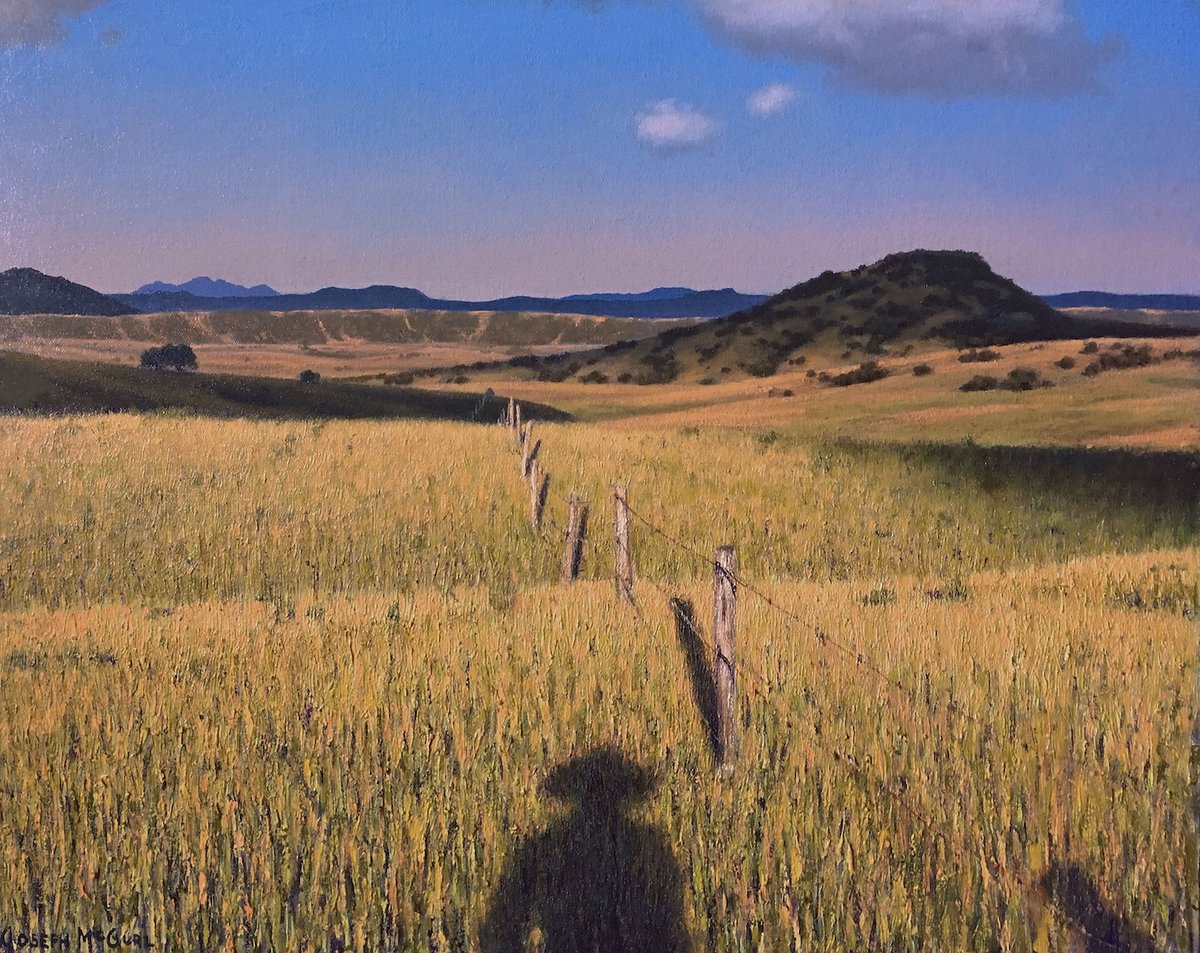 Haynes Galleries tweet media