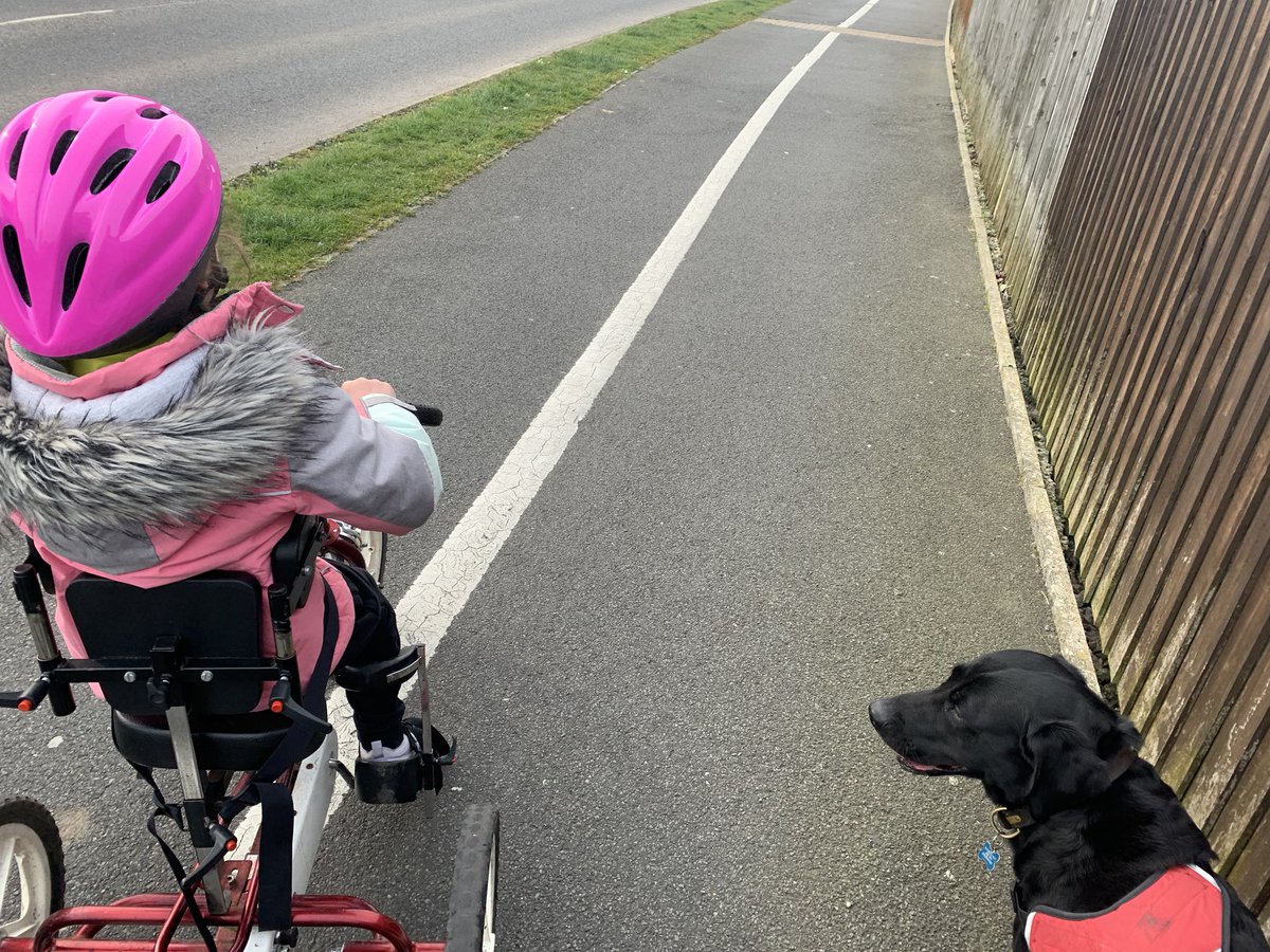 #homeschooling #JoeWicksPE #math #english #virtualtrip #bikeabilty #Day2