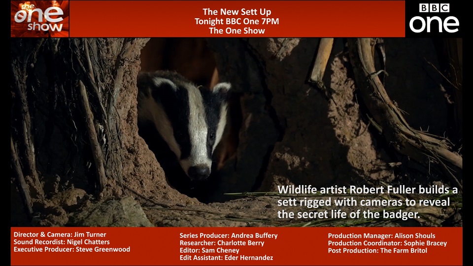 RobertEFuller's tweet photo. Just found out I'm on The One Show tonight 😊🎥
 With a very special film about the badgers that live in my garden.🦡🐾
Watch: BBC 1 | tonight | 7pm
#badgers @BadgerTrust @BadgerlandCoUk  @WildlifeTrusts #solaceinnature https://t.co/svmxwHofil