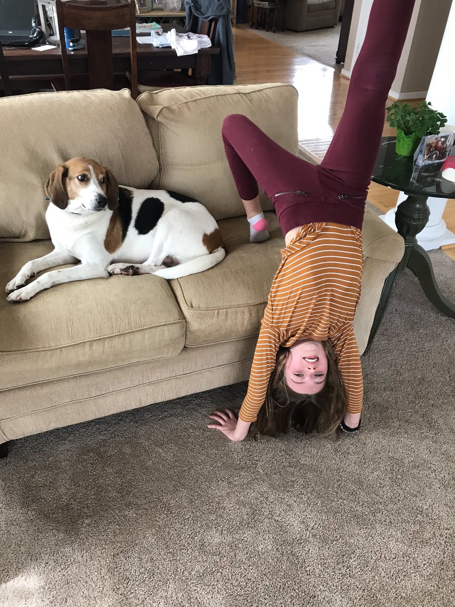 jstratpacker's tweet photo. Happy Topsy Turvy Tuesday! @colinpowelles @CPES_PTA https://t.co/YzTw9vhtfb