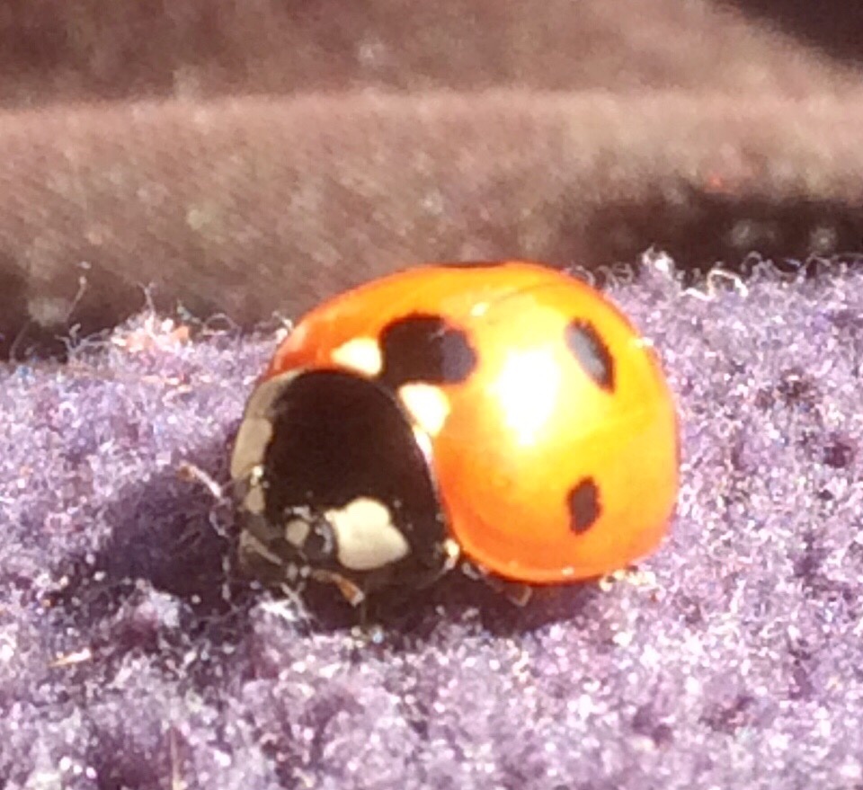 Kerion Hunt tweet media