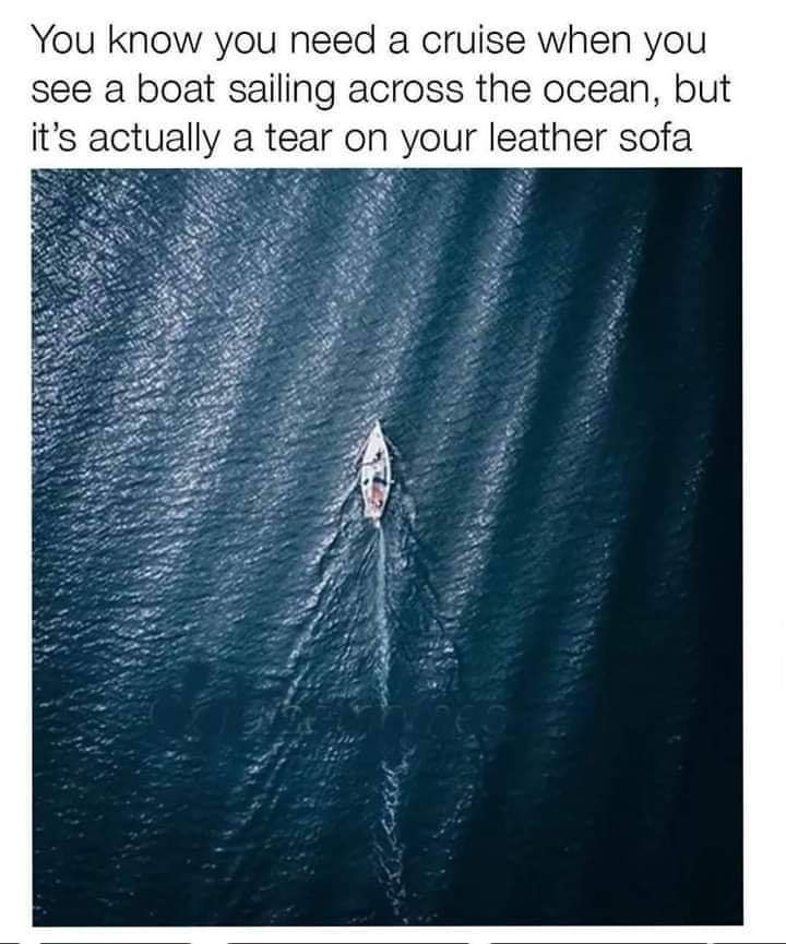 Danielle (@cruisemiss) on Twitter photo 🤣🙌⚓🚢😱 #Cruise #WeWillBeBack ❤❤❤ 🤣🙌⚓🚢😱 #Cruise #WeWillBeBack ❤❤❤