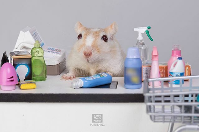 GerbMeetsMouse's tweet photo. We just wanted to say THANK YOU to those who are working tirelessly in grocery stores around the world. Working tirelessly to make sure that our family's have food to eat during this unusual time. We are grateful.
#gerbil #gerbilsofinstagram #petsofinst… https://t.co/lXiAywZlWp https://t.co/NkvdC2WZNd