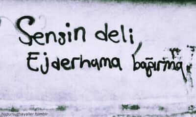 ladyin_disguise's tweet image. @ozzybozkurt @Cipheris @blgndereli @Mayra54670168 @eylemcankaya 

Ya tilki’yi de alalım mı aramıza çok eğleniriz