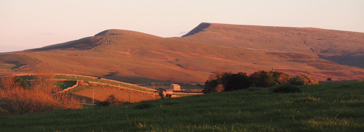 Each night while out checking my sheep I get down on my knees in my fields and pray for our local community, our county, our country, our world #LetsPrayForCoronaFreeWorld #corona