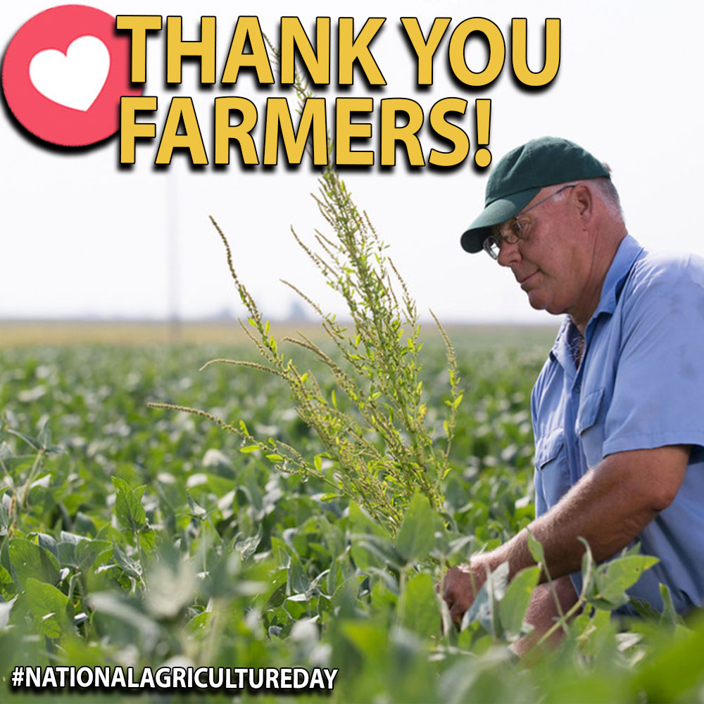 THANK YOU, FARMERS! Here, in the Salad Bowl of the World every day we celebrate our farmers, but let's say thank you to them today #nationalagricultureday 💚🙏👩‍🌾🥦