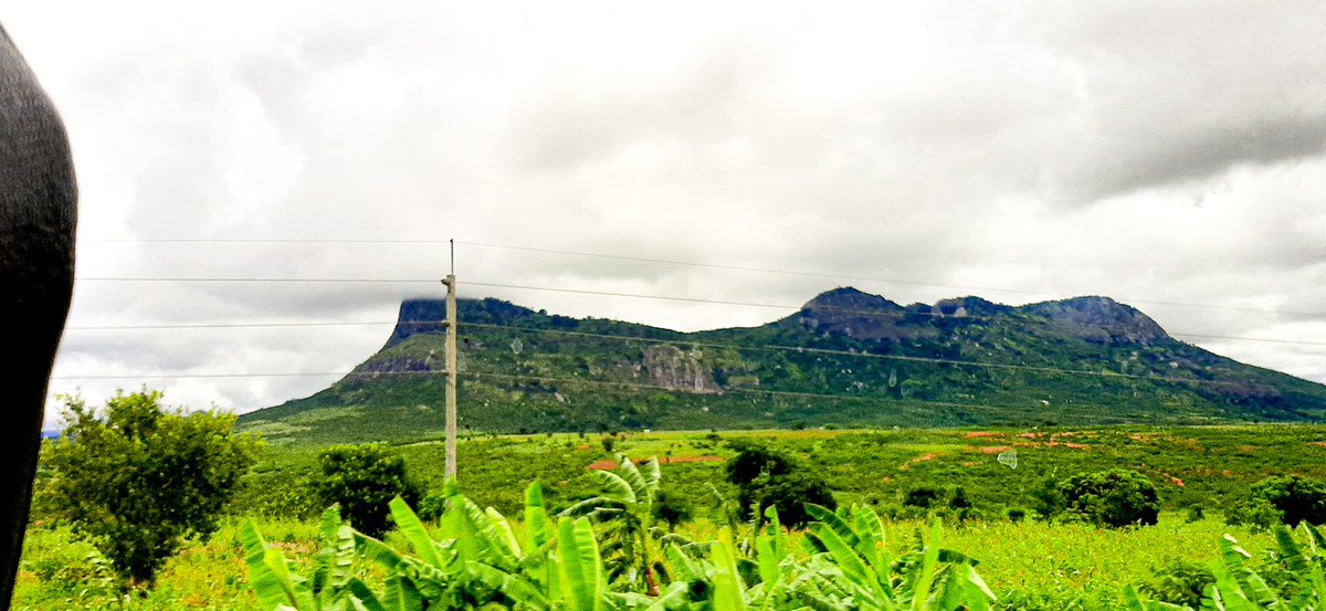 BethuelSwema's tweet photo. Tanzania Unforgettable..
@TTBTanzania 
Tanzania Unforgettable https://t.co/IxHDVjWpI7