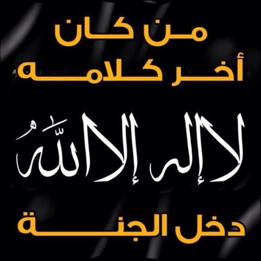 kaledalr's tweet photo. https://t.co/AKbPz6WWZi