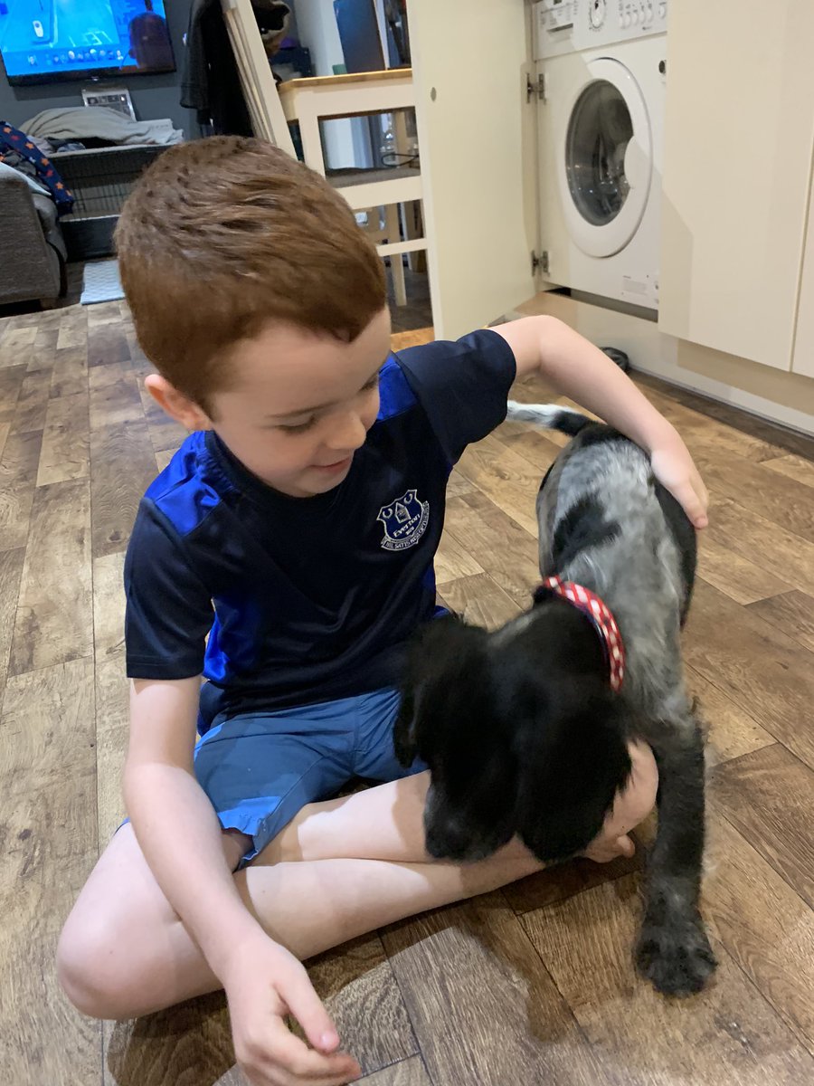 sarahstan's tweet photo. @Farnworth3OG  Charlie wanted to@send you a photo of his new puppy, Toby 🐶💙. https://t.co/QEBkwldcMa