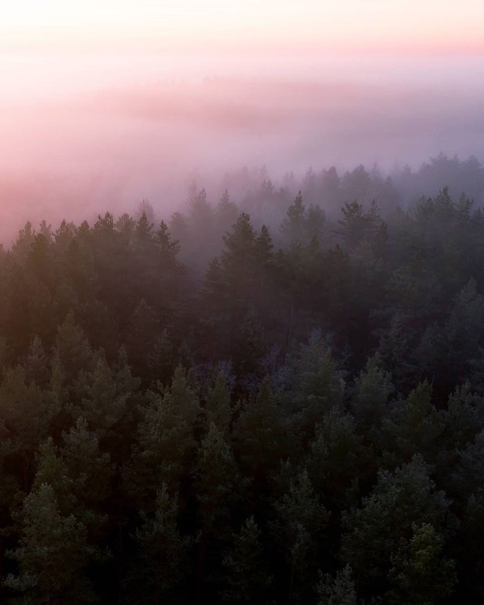youminimalism's tweet photo. https://t.co/wIXdhYNpZQ