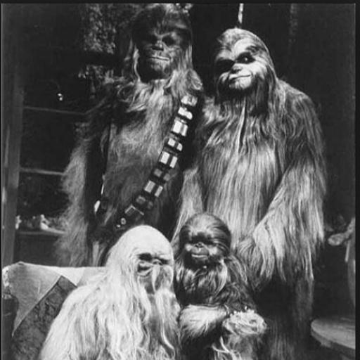 Chewie told Midnight of his wife Mallatobuck and his son Lumpy (Chewie used his full name, Lumpawaroo, but Midnight didn't catch it.)