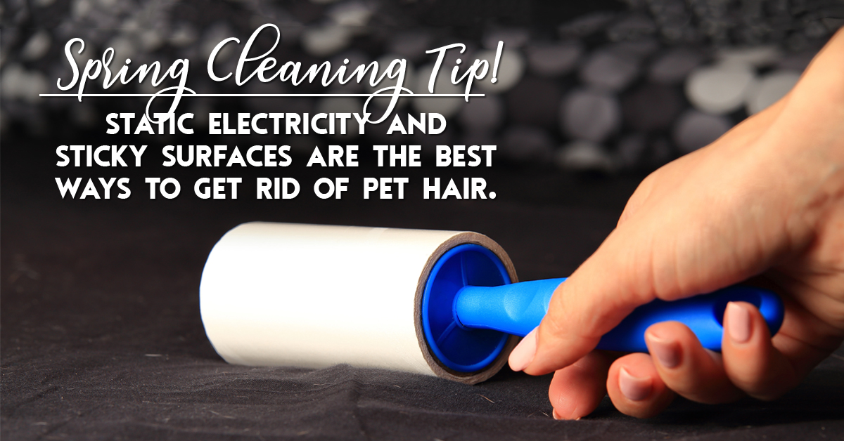 Doing some spring cleaning in the ride? This tip will help you get rid of pesky pet hair.