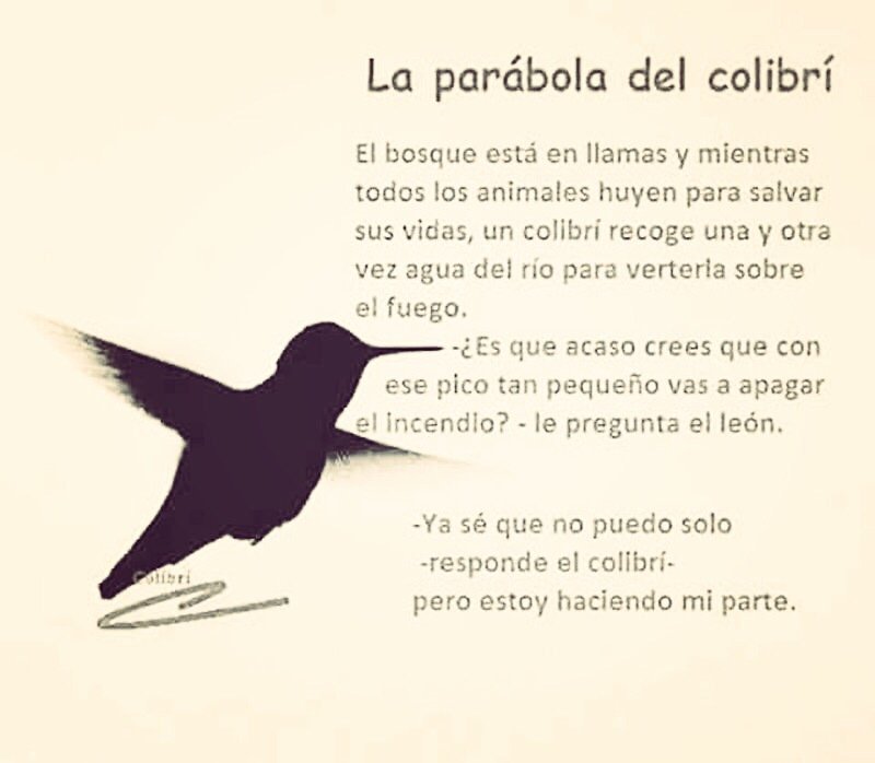palomagomis1's tweet photo. Hola, ¿Podemos empezar un hilo de microcuentos o parábolas? No nomino a nadie. Que ponga quién quiera 💜 #INVTICUA20
Os dejo uno que he leído hoy por primera vez... Yo creo que es un buen recurso para educar ¿no? https://t.co/93ty8P85ld