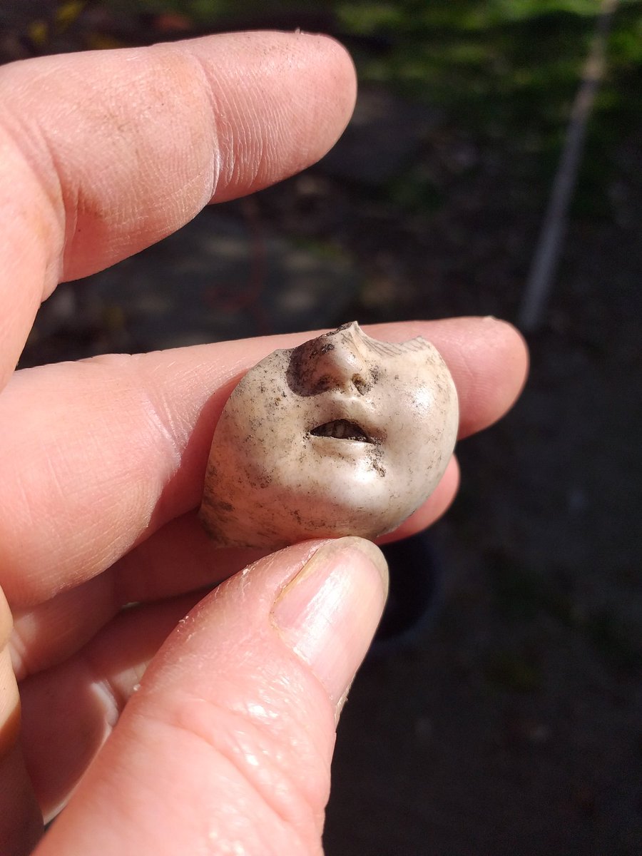 JenniKeer's tweet photo. Creepy china doll find in the veggie patch today.
She has teeny tiny teeth... *shivers*
#oldhouse #GrowYourOwnFood #gettingfreshair #COVID19 #familylife #lovemyboys #springishere π±π±π±π±π± https://t.co/WzkNJ0KlFq
