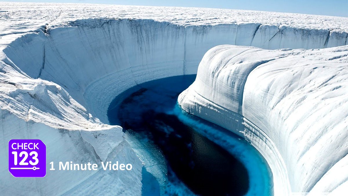 Check123 tweet media