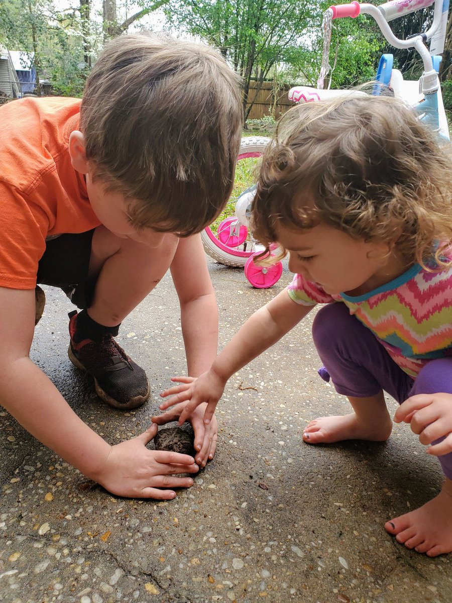 AmyChuaADE's tweet photo. I don't know if this little guy was quite ready for all this social interaction today 😅...but the Chua kiddos sure enjoyed meeting him!🐸 #quarantined #thegreatoutdoors #comebacksunshine #goawaycovid19 #lessonsinnature #frogsvstoads #TeamChua #lovemykids https://t.co/75sGtUhCEF