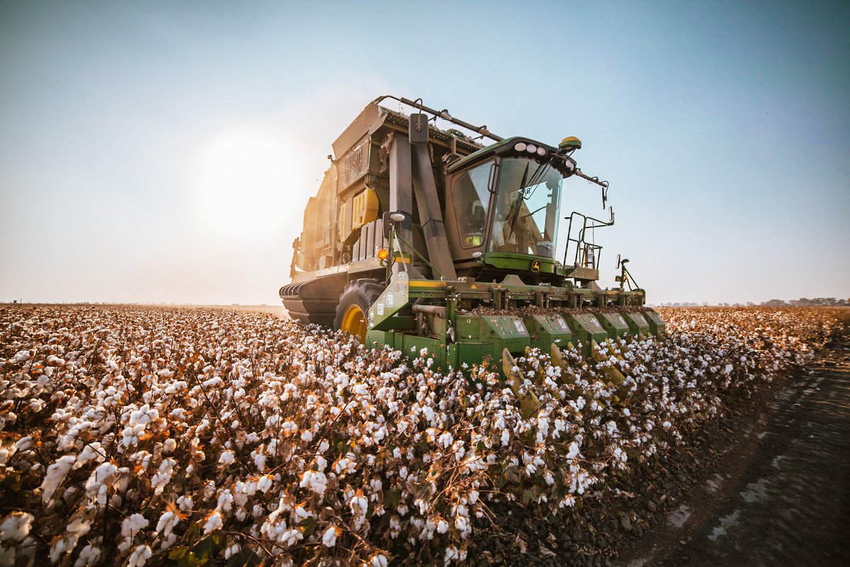 Bowles Farming Co tweet media