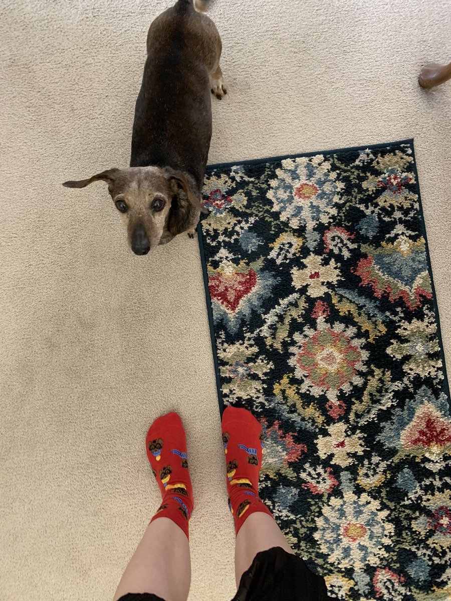 A little late to the party today, but Oscar helped to remind me it was crazy sock day! <a href="/NorthScottHS/">North Scott High School</a>