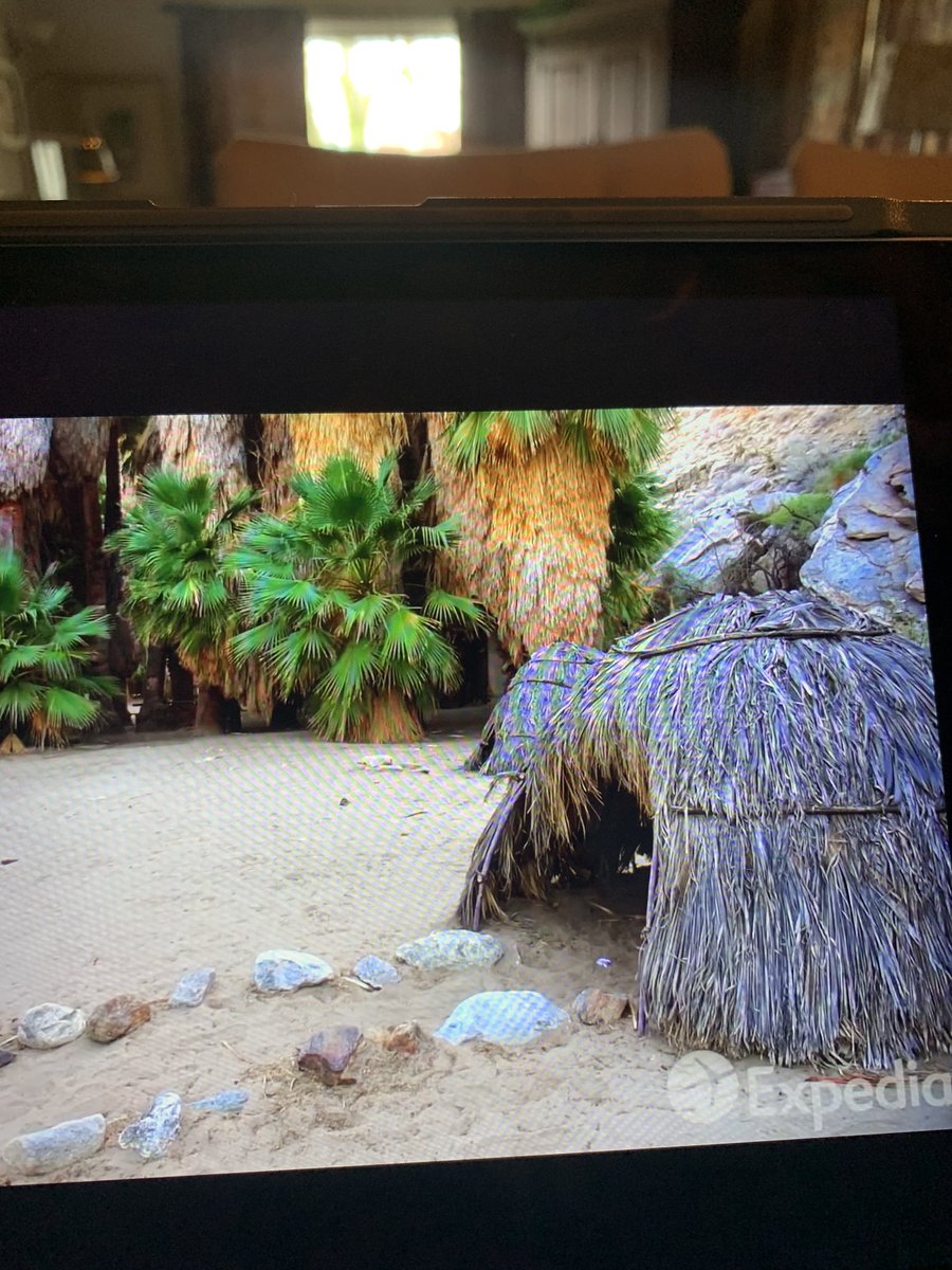 Dltrexler's tweet photo. #BDNstayingconnected #VirtualSpiritWeek #PalmSprings ✅💓 https://t.co/uJAwXmksvx
