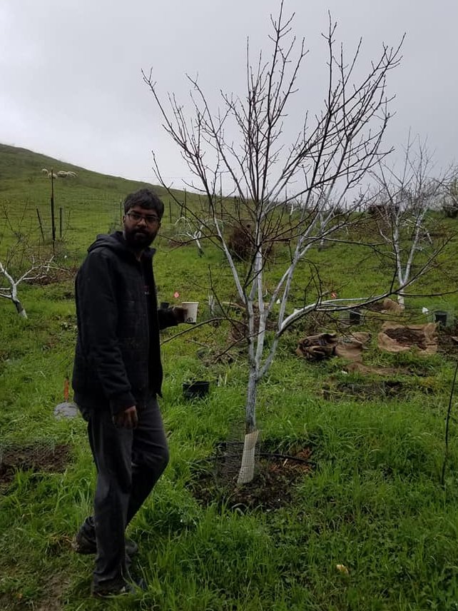 MyGenTree's tweet photo. During these testing times, let's use this opportunity to make some real friends for life. Make nature your best friend. Stay positive, Stay safe, Stay home! https://t.co/OKiD442TZ2