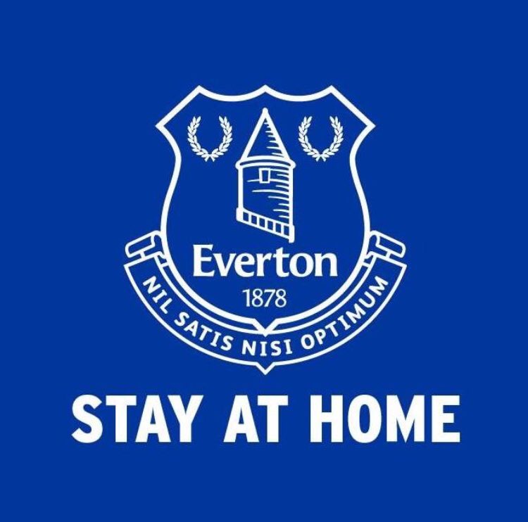 ANY AGE 2 PERSONALISED EVERTON BIRTHDAY BANNER 36/" x 11/" ANY NAME