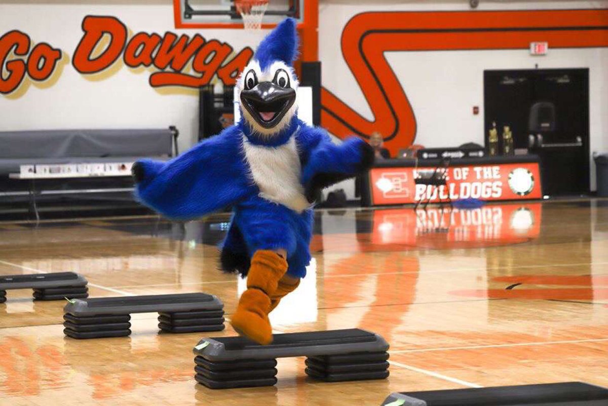 DSJStudents's tweet photo. Go vote for our very own Blue Jay in the final round of the Mascot Contest! https://t.co/NF0sicfgRs #gobluejay #beatthewildcat #delphosstrong #dsj https://t.co/aGRN0CewLj