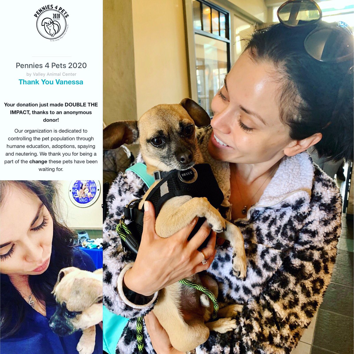 VanessaABC30's tweet photo. #Pennies4Pets :Friends! Did you know you can help homeless pets AND support @valleyanimal (our local no-kill shelter) from the comfort of your home? Text “PENNIES” to 44321.  
#funfact Thanks to an anonymous donor, our donations are making 2x the impact.
#dogmom #helladogmoms🐶🐾 https://t.co/qjCucEjZJK