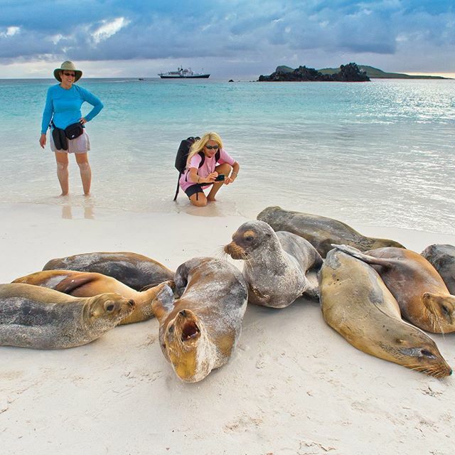 Julie S (@vividgetaways) on Twitter photo Ready to have the adventure of a lifetime right from your couch? Journey through a Galapagos adventure with partners at <a href="/lindbladexp/">Lindblad Expeditions</a> Link in bio
Thanks <a href="/brownell_travel/">Brownell Travel</a> 🌍 ift.tt/33HDd2x Ready to have the adventure of a lifetime right from your couch? Journey through a Galapagos adventure with partners at <a href="/lindbladexp/">Lindblad Expeditions</a> Link in bio
Thanks <a href="/brownell_travel/">Brownell Travel</a> 🌍 ift.tt/33HDd2x