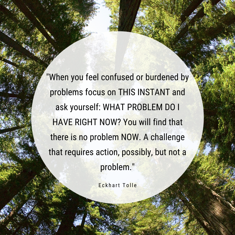 Eckhart Tolle When You Feel Confused Or Burdened By Problems Focus On This Instant And Ask Yourself What Problem Do I Have Right Now You Will Find That There Is