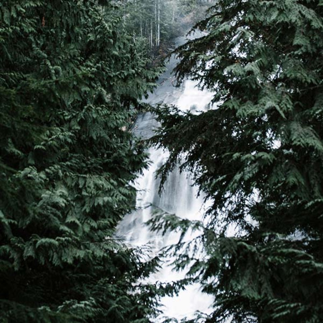 Working the front lines of COVID-19? Our new service, Front Line Online Counselling is a secure, accessible, affordable online counselling service for you. No benefits? We've got you covered with up to 4 sessions at $50 each. ow.ly/eFH050yUFHY