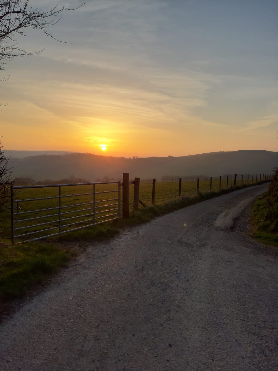 Shearwell Data Ltd tweet media