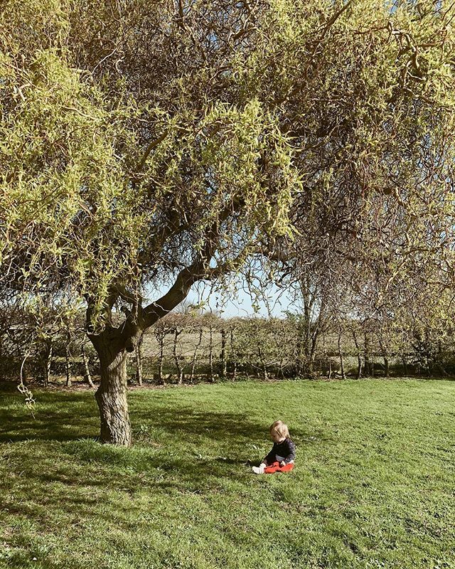 Spring, it was like you knew how much we needed you! ❤️ The loveliest day letting Mollie discover the garden. 🥰 #daysofsmallthings ift.tt/3akiKU2