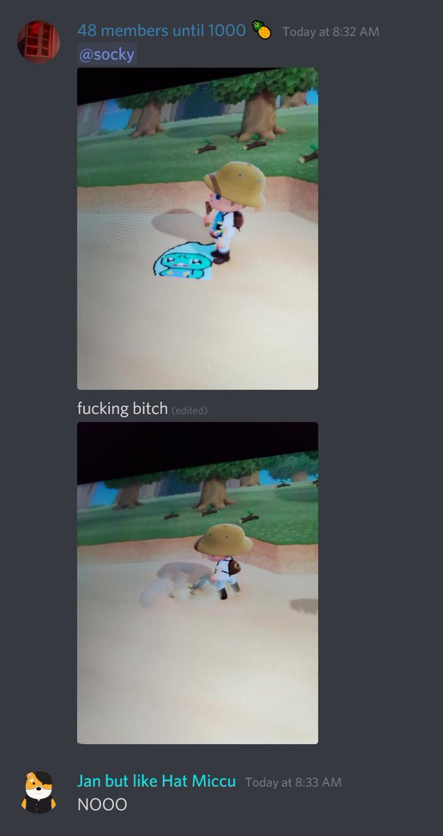 MaoDiscord's tweet photo. https://t.co/Ivm5jemwyy