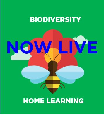 NOW LIVE 

Download our new Biodiversity #EcoSchoolsStayHome resource here:

eco-schools.org.uk/ecoschoolsatho…

Well done to all those teachers still teaching and keep going to all those of you home schooling. Together we will get through this.

<a href="/KeepBritainTidy/">Keep Britain Tidy</a> <a href="/NHM_London/">Natural History Museum</a> <a href="/NAHTnews/">NAHT</a>