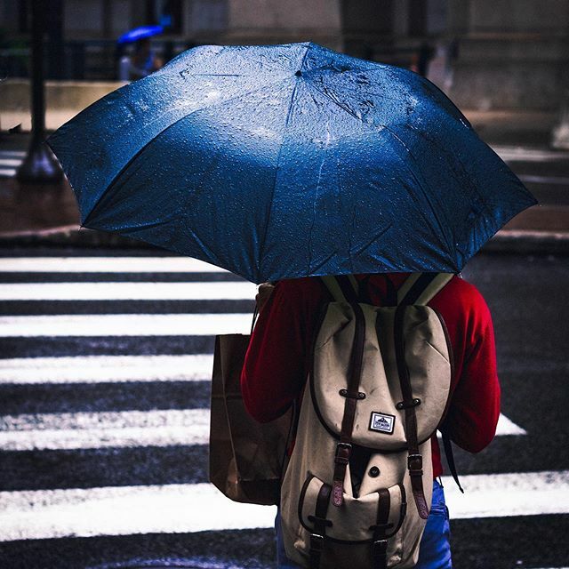 WesandCallie's tweet photo. 3 days ... 🕺🏼💃🏻🌧
•
•
•
#dancingintherain #🌧 #thisfriday #newmusic #single #newmusicfriday #nonah #pop #worship #christian #god #love https://t.co/zHWa19z2zX https://t.co/cDrDcs0IXC