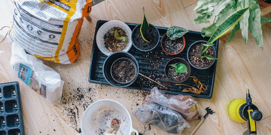 BCplants's tweet photo. Feeling stressed out from the current COVID-19 situation?  Try to find the positive in a negative situation by focusing on things that you can do, like getting your hands dirty while gardening in your backyard or patio! https://t.co/MnkQzpS1Re