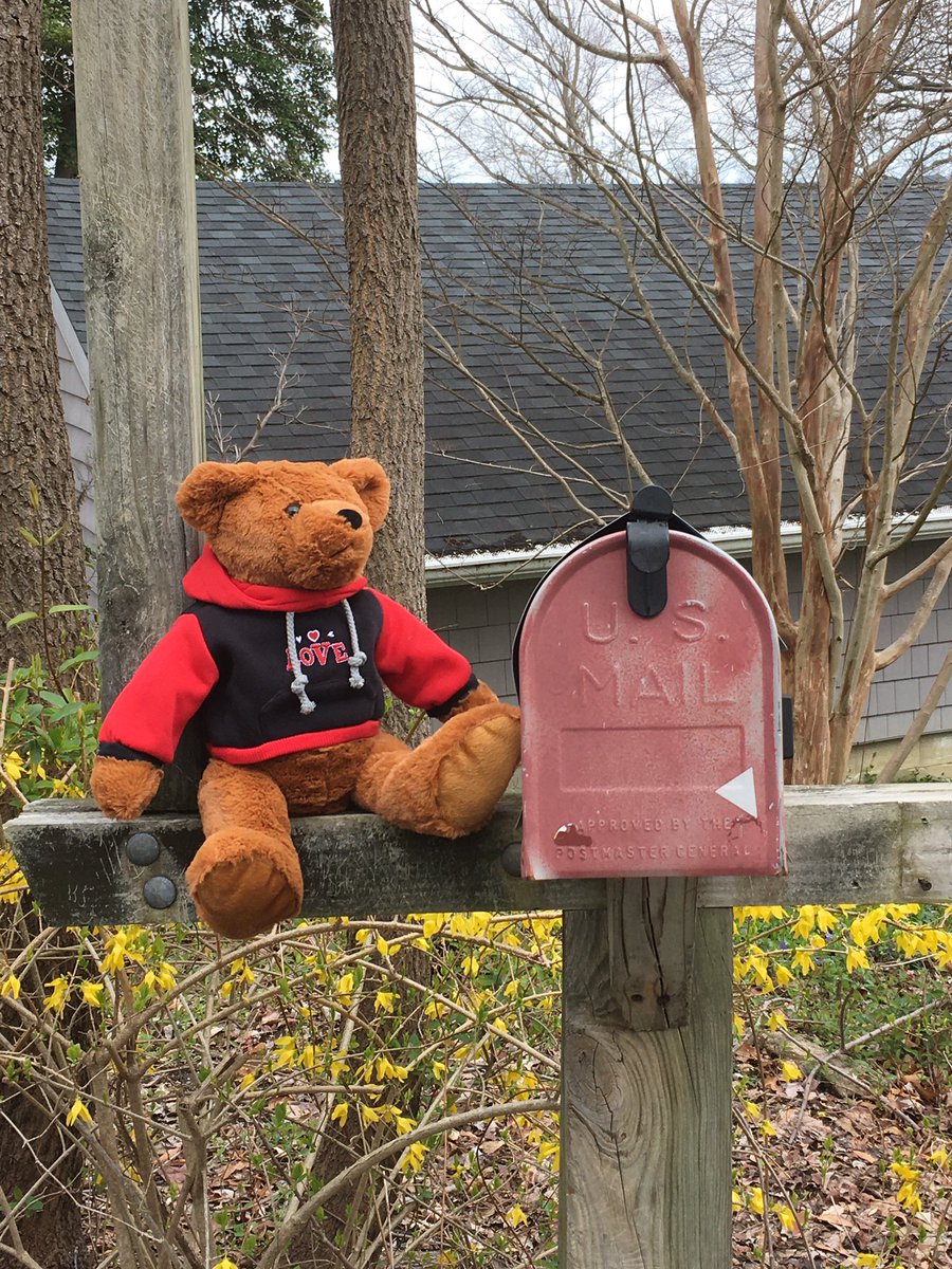 mkcreighton's tweet photo. #ProjectUnity in my #commUNITY! The kids read “We’re Going On a Bear Hunt” and neighbors of all ages set out bears for our hunt. About 65 houses participated with about 200 bears (and other animals)! @capgaznews @AACountySchools #AACPSAwesome https://t.co/clEgKmLQSU