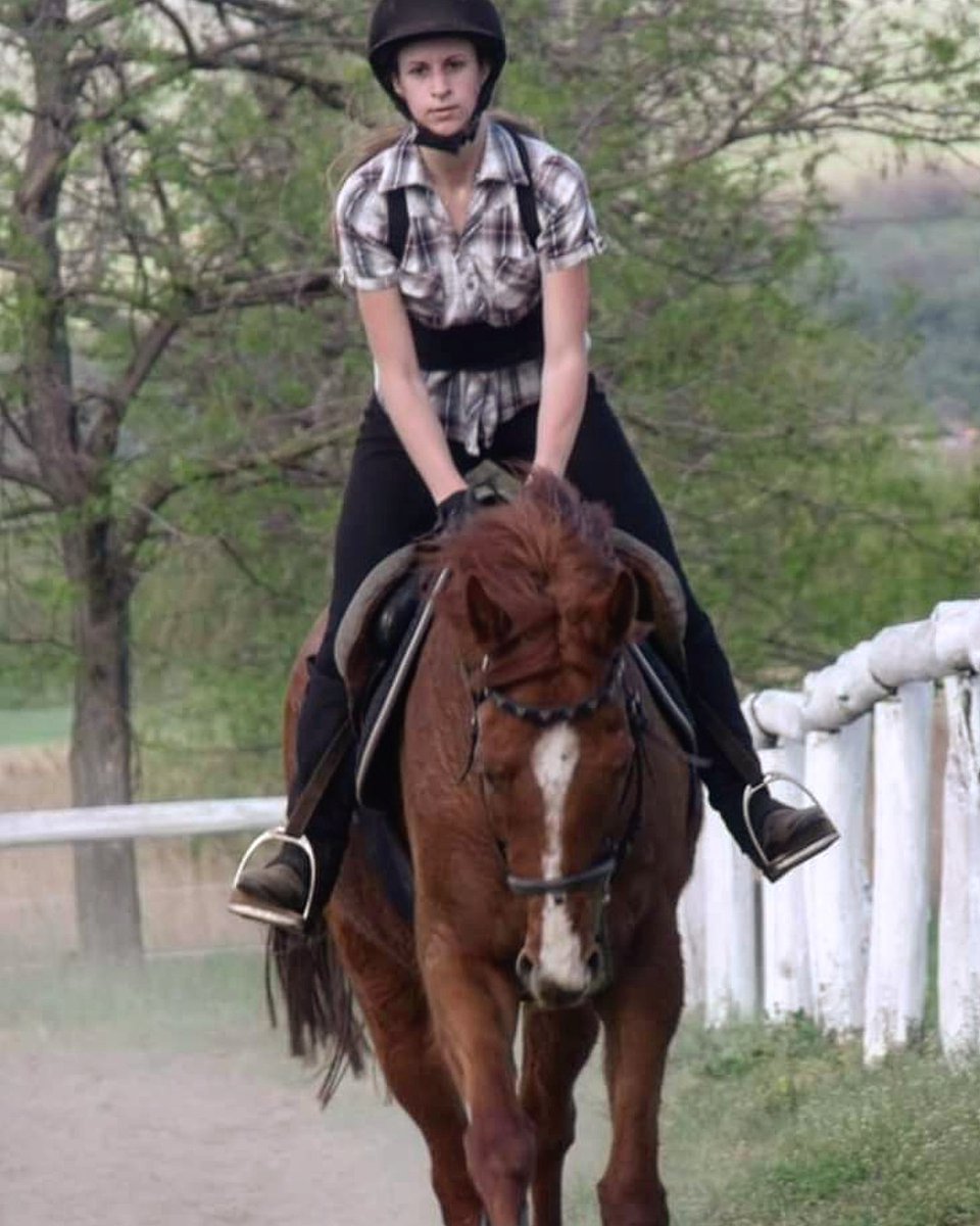 Szymcso's tweet photo. #HorseRacing #Horses #galopp #equestrian #equestriangirl #lifestyle #ArabianHorse #dressage #Horsepower #horseriding #girlpower #HorseChallenge https://t.co/yckkbxv5xZ