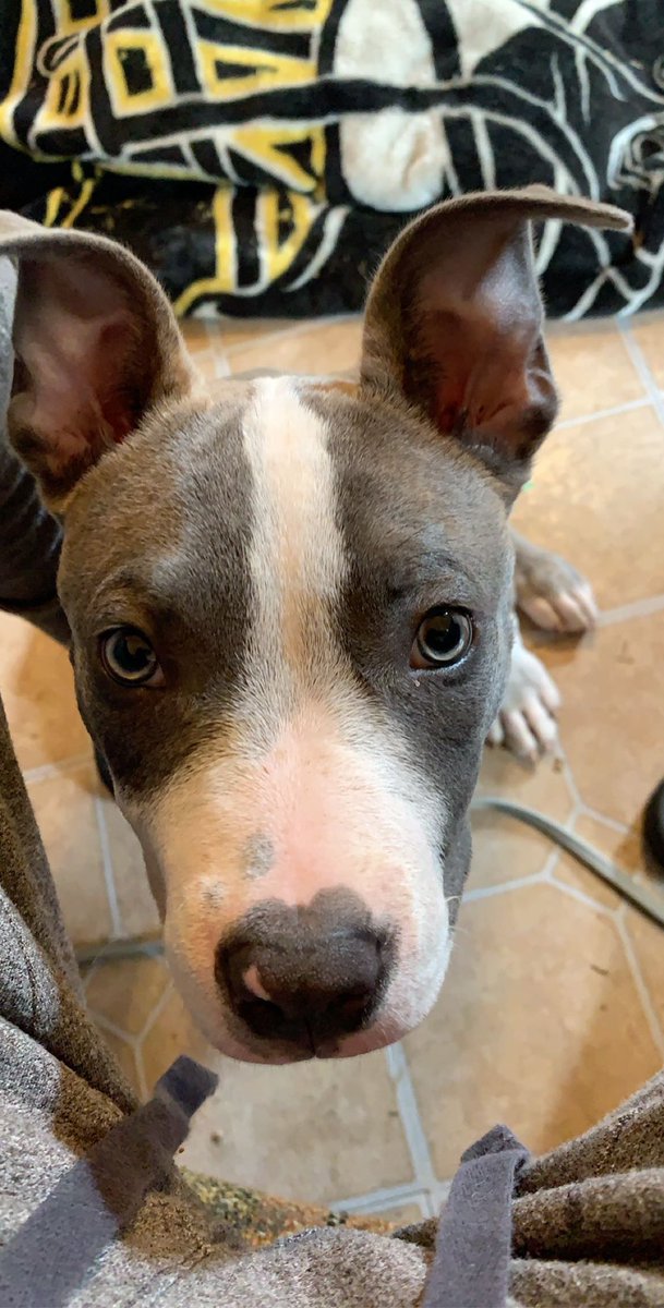 jamainebest01 tweet media