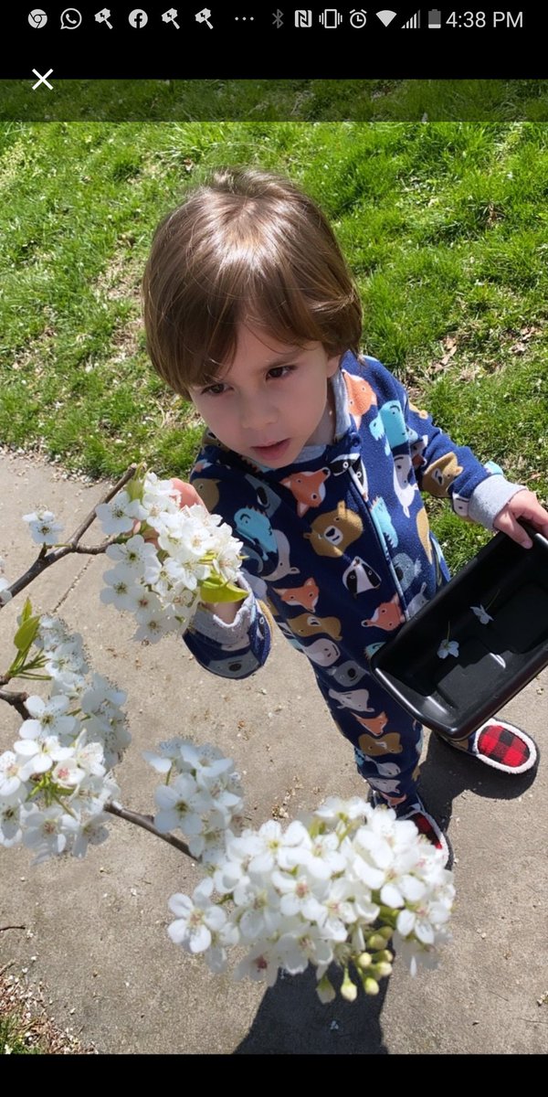 stewkids's tweet photo. Our Science Lesson Today. Looking for living and Non-living things in our backyards.
@LBpublicschools @morrisaveschool https://t.co/ByWhgMktpR
