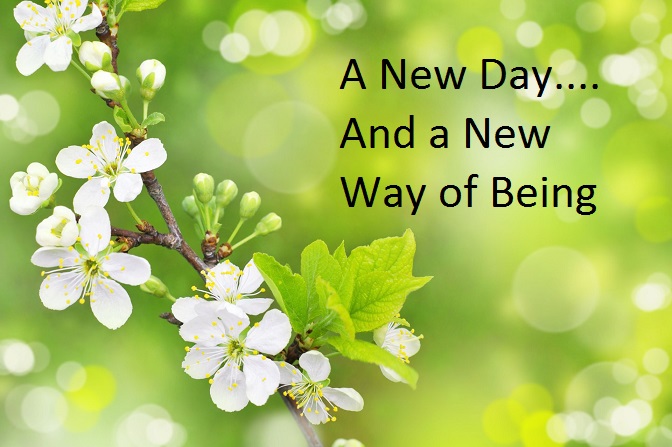 Shelley Klassen tweet media