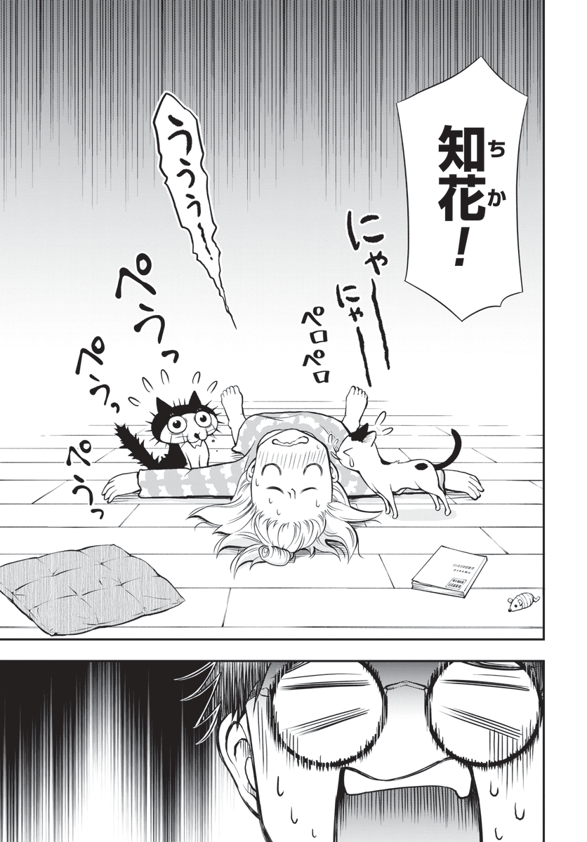 (2/4) 