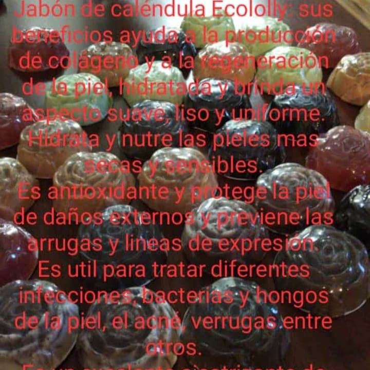 ecololly's tweet photo. https://t.co/eVpSDpNxV8