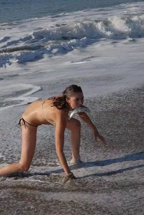 aidenofwolves's tweet image. Castlevania s3 ep. 1 

Thank u