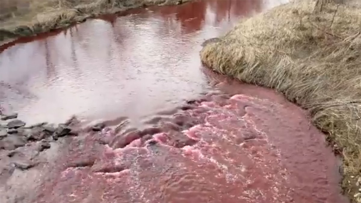 Etobicoke Creek runs red after ink spill cp24.to/y9iq1fP
